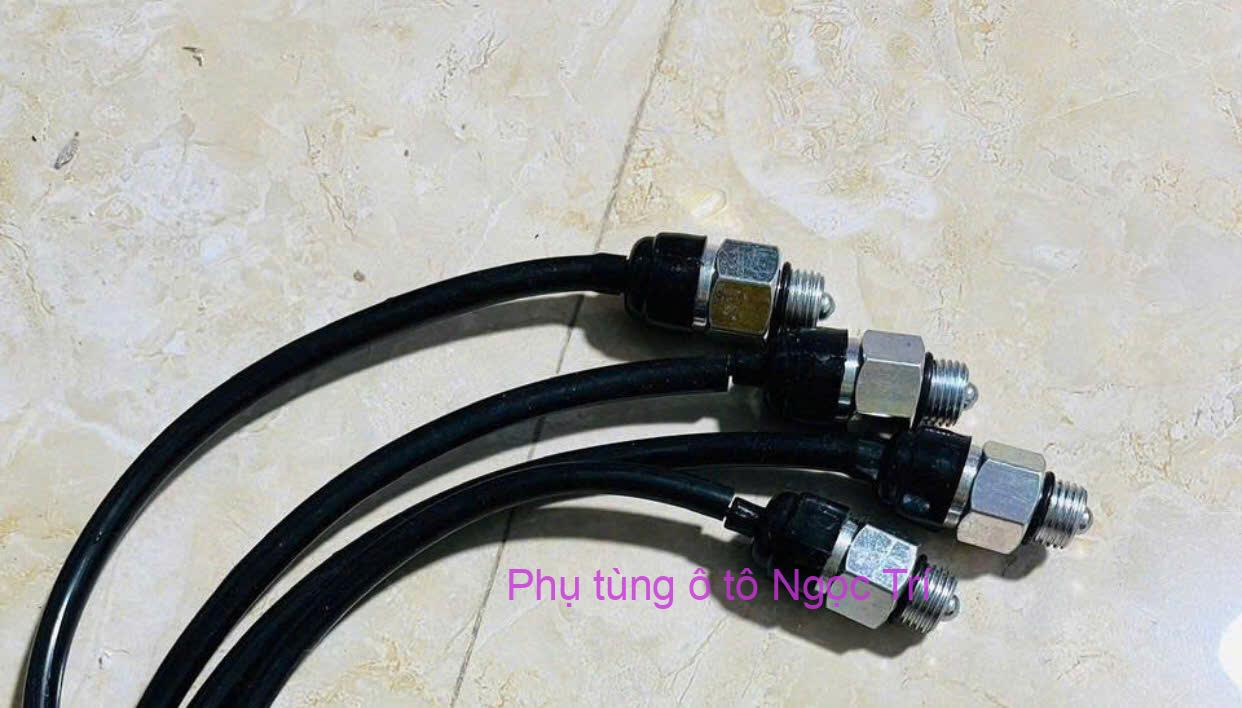 gen-n-z6915012470905_408277f30e87d2179c5ef47f77d19bd7